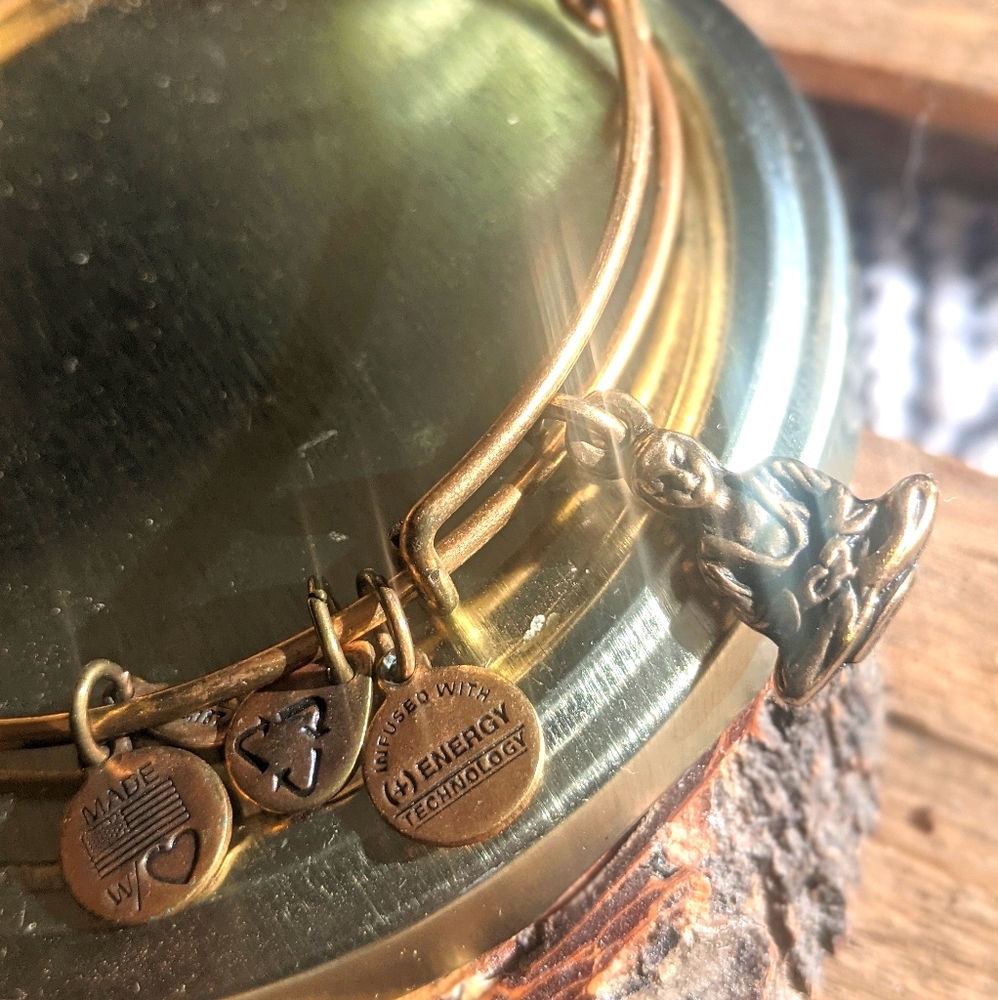 Alex & Ani - Buddha charm bracelet - Picture 2 of 2